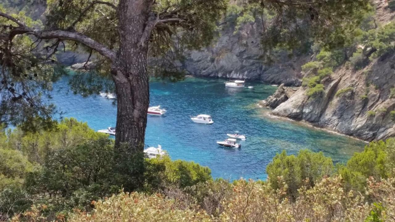 Puerto Simona 11A Lägenhet Rosas Exteriör bild